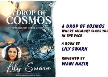 A Drop of Cosmos:Where Memory Slaps You in the Face, A Book by Lily Swarn, Reviewed by Wani Nazir