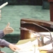 Speaker clarifies Assembly not consulted on MLA Mehraj’s PSA detention