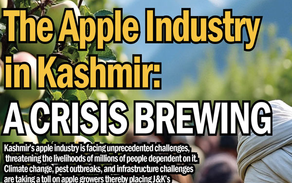 The Apple Industry in Kashmir: A Crisis Brewing