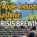 The Apple Industry in Kashmir: A Crisis Brewing