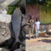 Flying squad seize 100 kg of rotten fish at Srinagar airport