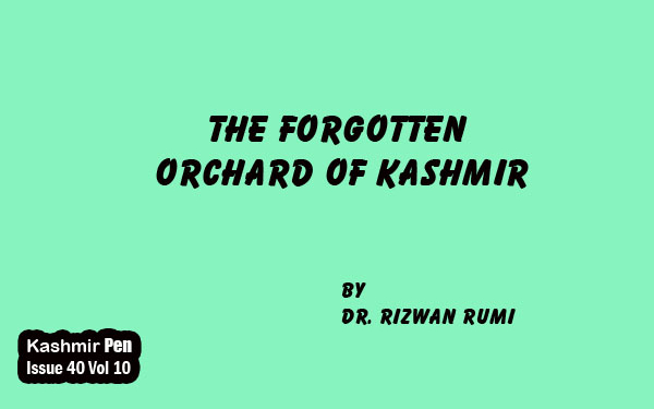 The Forgotten Orchard of Kashmir