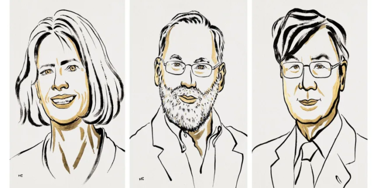 Nobel Prize 2025 awarded to US and Japanese scientists for immune tolerance research