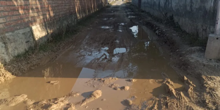 Kanihama residents demand action on dilapidated road