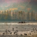 Kashmir wetlands come alive with over a million migratory birds