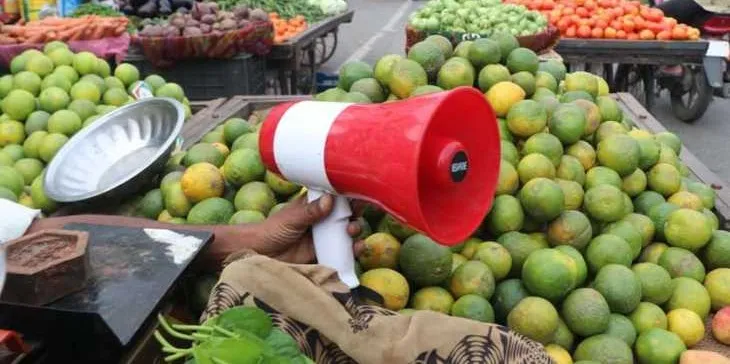 SDM Zainapora Bans Use of Megaphones by Mobile Vendors to Check Noise Pollution