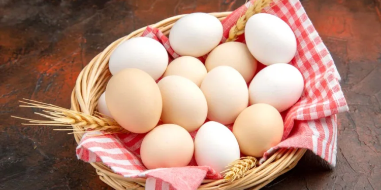 FSSAI to collect samples to check nitrofurans presence in eggs