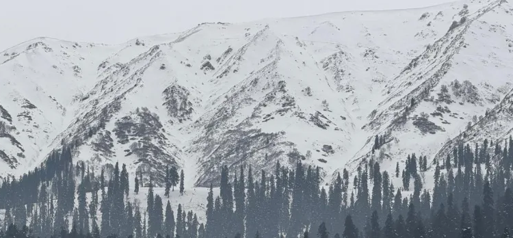 MeT Predicts Light Rain, Snow in Higher Reaches of J&K today 