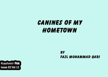 Canines of My Hometown