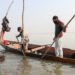 1.35 lakh Willows felled at Wular, 19 lakh plants raised: Govt informs House
