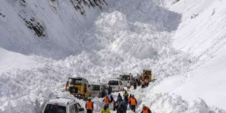 6 Dead, 5 Injured After Avalanche Hits Vehicle at Zojila Pass; Rescue Ops On