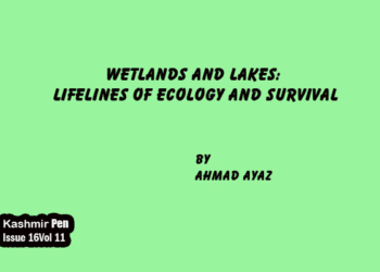 Wetlands And Lakes: Lifelines Of Ecology And Survival