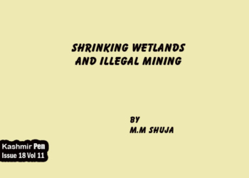Shrinking Wetlands and Illegal Mining