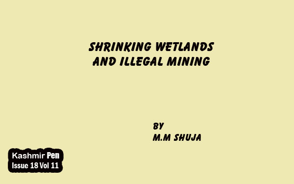 Shrinking Wetlands and Illegal Mining