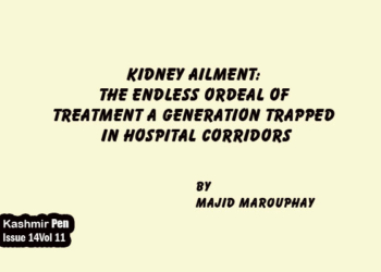 Kidney Ailment:The endless ordeal of treatment. A generation trapped in hospital corridors