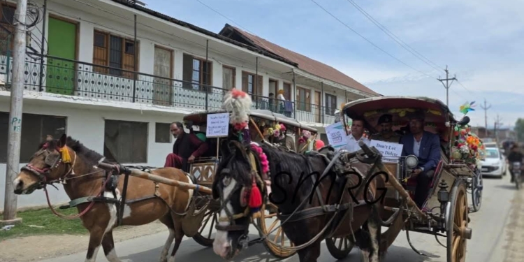 Sopore admin taps ‘Tanga’ to drive anti-drug message to youth