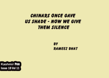 Chinars Once Gave Us Shade – Now We Give Them Silence