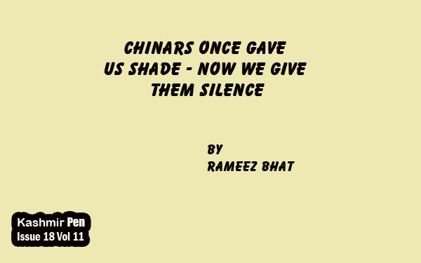Chinars Once Gave Us Shade – Now We Give Them Silence