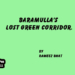 Baramulla’s Lost Green Corridor.