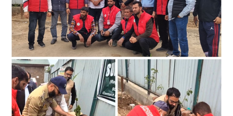 Kashmir Concern Launches ‘Mission 1 Million Trees’ Plantation Drive in Collaboration with Green Valley Sumo Stand