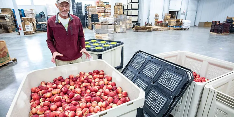 CA cold storage proving game changer for apple growers; 20-30% stock still in units