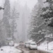 Fresh Snowfall at Zojila, Drass as Rain Lashes Kashmir Valley