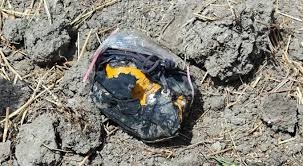 Suspected drone-dropped packet with drugs recovered in Jammu border belt