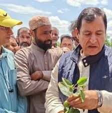 Hailstorm aftermath : Crop insurance scheme likely within two months in J&K, says Minister Javed Dar