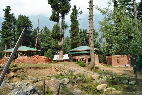 Over 1.06 Lakh Hectares of Degraded Forest Land Restored in Jammu Kashmir Under CAMPA Since 2010-11