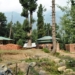 Over 1.06 Lakh Hectares of Degraded Forest Land Restored in Jammu Kashmir Under CAMPA Since 2010-11