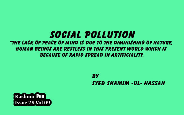 Social Pollution