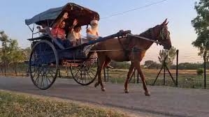 Traditional ‘tongas’ gather popularity in Jammu border belt amid PM’s appeal to save fuel