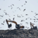 Jammu Kashmir : Govt Sanctions Rs 361 Crore Integrated Solid Waste Management Project at Achan
