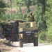 ‘Operation Sheruwali’ enters Day 29 in Rajouri forests, search and cordon operation continues