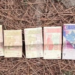 Pakistani currency recovered during search operation in J&K’s Poonch