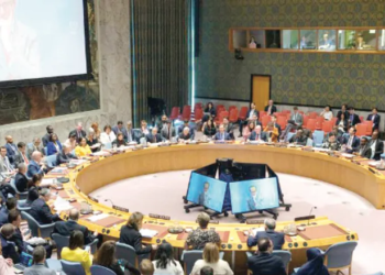 Portugal, Austria among 5 nations elected to UN Security Council; Germany suffers setback