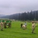 Forest Department Bans Camping, Off-Roading at Four Key Kashmir Tourist Destinations