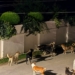 Residents raise alarm over stray dog menace in Srinagar’s Gulberg Colony