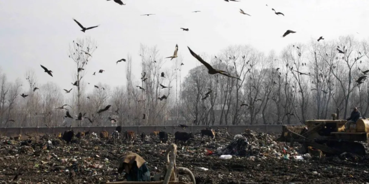 NGT seeks detailed status report on legacy waste at Achan landfill site