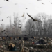 NGT seeks detailed status report on legacy waste at Achan landfill site