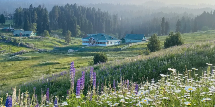 Motorists embark on 3-day tour to promote Valley as high-end tourism destination