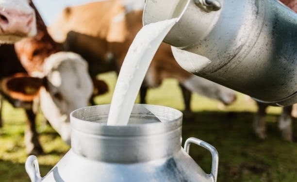 Jammu Kashmir Dairy Cooperatives Process 250,000 Litres Daily : Centre