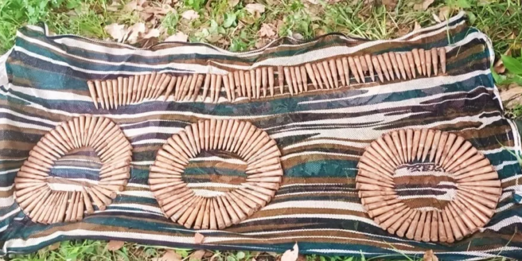 Terror hideout busted in J-K’s Poonch