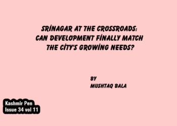Srinagar at the Crossroads:Can Development Finally Match the City’s Growing Needs?
