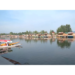 Tourists throng Dal Lake in Srinagar, enjoy Shikara rides amid pleasant weather