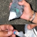 Pigeon From Pakistan Found In Hiranagar Kathua, 4th Such Case In Recent Times