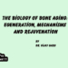 The Biology of Bone Aging: Degeneration, Mechanisms and Rejuvenation
