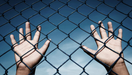 Meta agrees to report child sexual abuse cases to law enforcement agencies : Govt sources