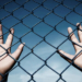 Meta agrees to report child sexual abuse cases to law enforcement agencies : Govt sources