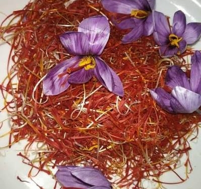 Police Seize 1.75 Quintals of Saffron Corms in South Kashmir